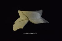 藏品(陶罐)的圖片